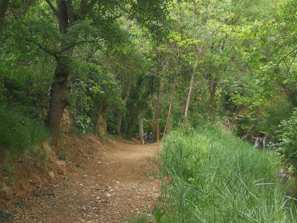Granollers de FlorejacsLa Casa Dels Ocells (Adults Only)住宿加早餐旅馆 外观 照片