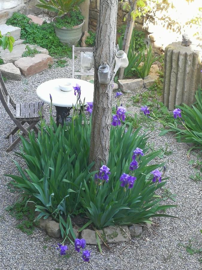 Granollers de FlorejacsLa Casa Dels Ocells (Adults Only)住宿加早餐旅馆 外观 照片