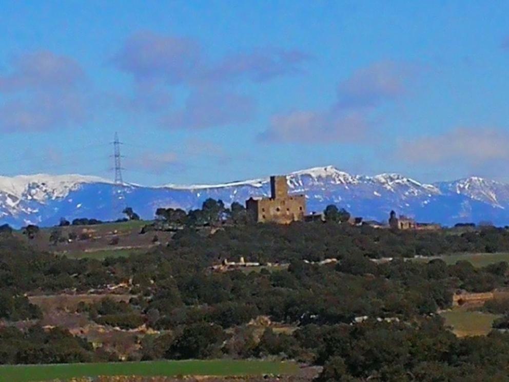 Granollers de FlorejacsLa Casa Dels Ocells (Adults Only)住宿加早餐旅馆 外观 照片